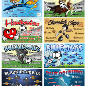 Custom Sports Team Banners