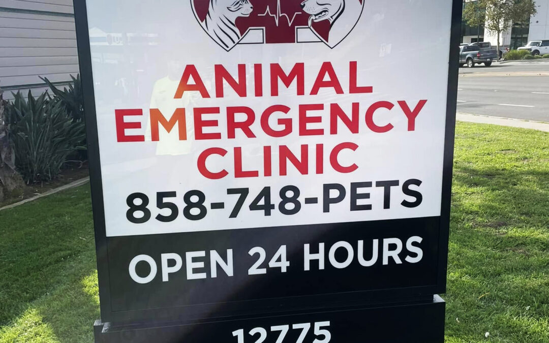 Animal Emergency Clinic