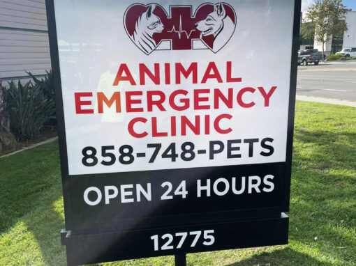 Animal Emergency Clinic