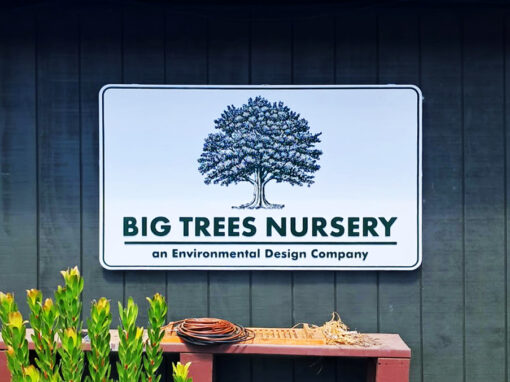 Big Trees Nursery